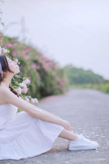 铁原阻击战电影在线观看
